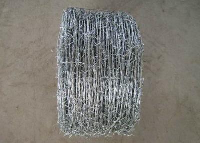 China 12x14# low carbon steel wire galvanied barbed wire for lawn,railways,expressways for sale