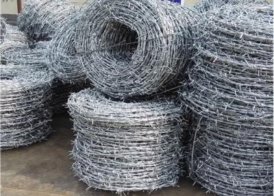 China SWG14XSWG16 Galvanized Barbed Wire for sale