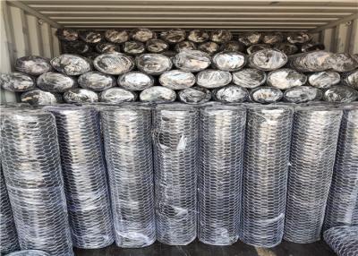 China Hot Dipped Galvanized Hexagon Metal Mesh 1