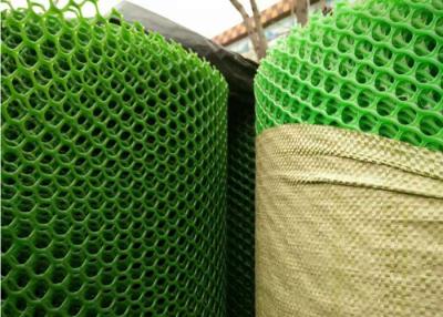 China Iso9001 2015 Certificate Plastic Netting Mesh Green Colour Hdpe Flat 10x10mm for sale