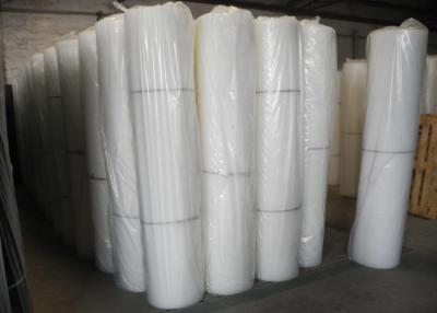 China White Colour 20x20mm Hole Mesh Plastic Netting 350g For Poultry for sale