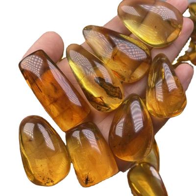 China CLASSIC natural amber insect pendant quality is full worm Amber Muslim baltic red amber pendant very good for sale