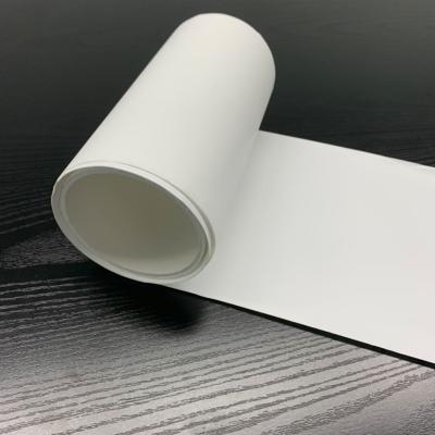 Cina 0.45μm filtro a membrana di polyamide di nylon bianco non sterile senza griglie in vendita