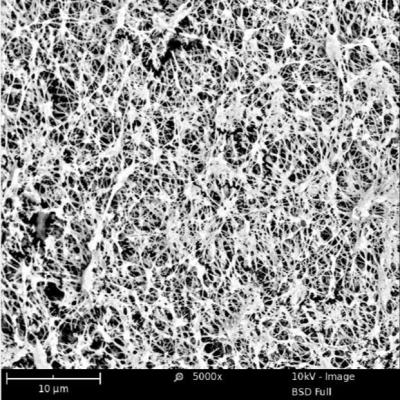 China Microporous Hydrophobic PTFE Membrane 0.05 - 0.45 Pore Size With Supporting Layer for sale