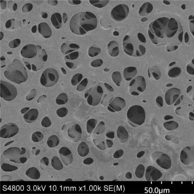 China Membrana PES hidrófila de 5 μM para filtragem de câmara de gotejamento Parar líquido automaticamente à venda