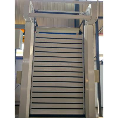 Cina Modern Electirc Aluminum Spiral Roll Up High Speed ​​Door For Garage in vendita