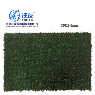 China Sports Meets Landscape Synthetic Turf Artificial Grass Synthetic Grass For Decorative CPDZ-8MM for sale