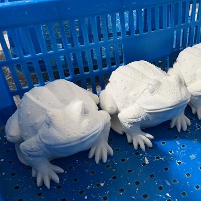 China Craft DIY Toys Large Dye Plaster Figurine Frog DIY Toys Mold Colored Pattern Drawing Customization for sale