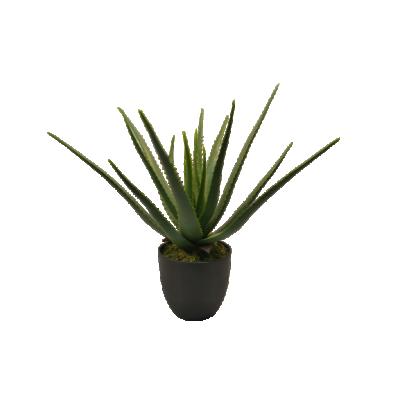 China Durable Plant Artificial Aloe Bonsai Furniture Decoration Aloe Plant Hot Sale for sale