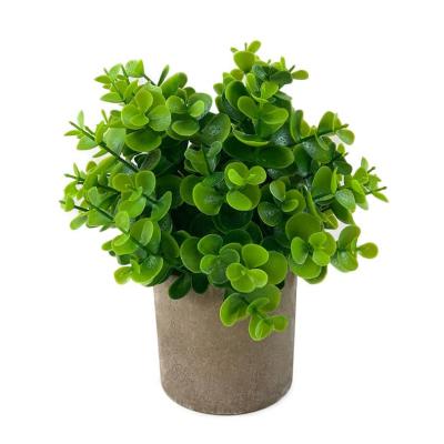 China Indoor Green Plants Product Green Plant Durable Top Wall Bottom Immortal Green Plants for sale