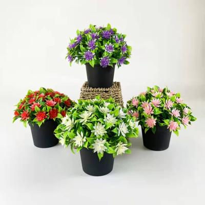 China Durable manufacturer's special green plant air purifier decoration green plant pot for sale