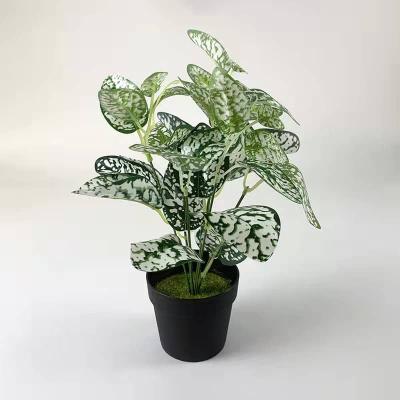 China Durable High Quality Artificial Green Plant Bonsai Plants Green Plant Art for sale