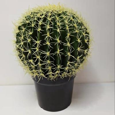 China Mall hotel gym plant outlet small cactus miniascape decoration miniascape plants Nordic potted artificial plant simulation for sale