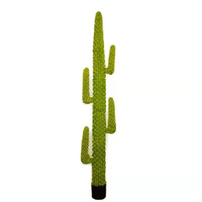 China Mall hotel gym plant outlet small cactus miniascape decoration miniascape plants Nordic potted artificial plant simulation for sale