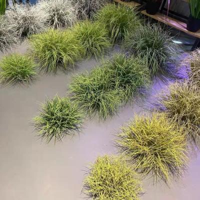 China Mall Hotel Gym Wholesale Price Green Fluffy Artificial Fluffy Grass Natural Tubular Grass for sale