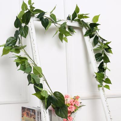 China Beautiful Simulation Plant Simulation Plant Silver Vine Evergreen Leaves Direct Wholesale Natural Realistic Green Plant Artificial Plant for sale