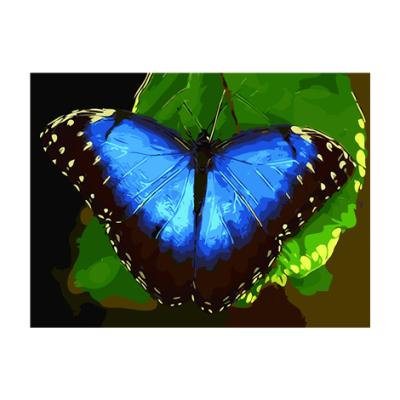 China New Classical/Postmodern Animals Paint By Numbers DIY Paint By Numbers Yellow Butterfly Oil Painting Sets Wall Home Decor Decor Gifts Adult Artwork for sale