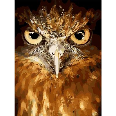 China New Classic/Postmodern Animals Paint By Numbers DIY Paint By Numbers Cartoon Anime Owl Oil Painting Sets Home Decor Wall Decor Gifts Adult Artwork for sale