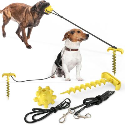 China New Design Viable Indestructible Dog Chew Squeak Toys With Rope Ball Dog Toothbrush Chew Toy Set for sale