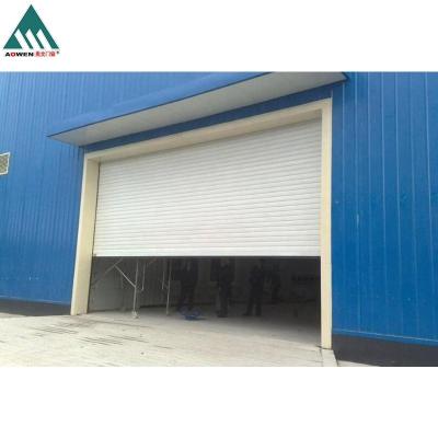 China Clear Color Factory Supply High Quality Windproof Roll Shutter Garage for sale