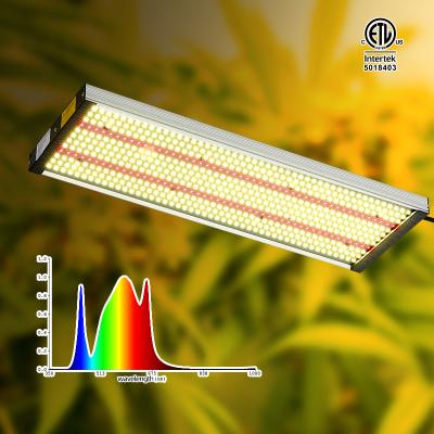 China Seed Starting China Made 700W Led Grow Led Grow Light Bar Hydroponics Led For Growing Indoor Plants Light Replaceable Full Spectrum for sale