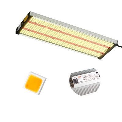 China Seed Starting Products Best Selling High Efficiency SMD2835/3030 Led Plant Light Bar Indoor Medicinal Plant Led Grow Lights for sale