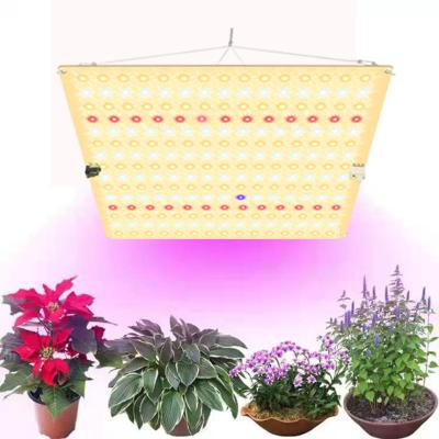 China Other Indoor High Power Hydroponics 600W 640W 720W 8 Bars Strip Plant Growth Lamp Led Grow Light Led Commercial Grow Light for sale