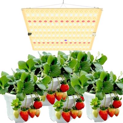 China Other Top Selling Led Grow Light Spectrum Plant Growth Lamp Medicinal Plants Led Grow Light for sale