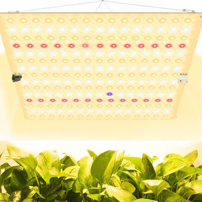 China Other 1000 Watt Full Spectrum Dimmable Led Grow Lights To Grow Led Light Panel for sale