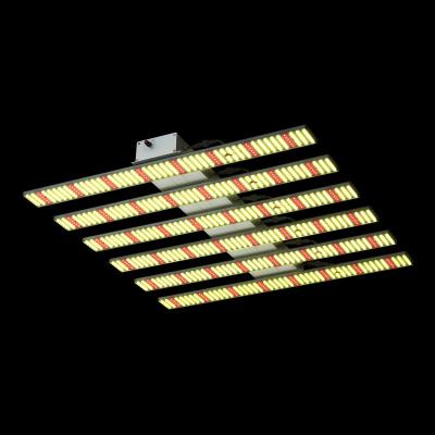 China Seed Starting Factory Direct Sales Led Light Factory Samsung Bar 800W Full Spectrum Led Grow Lights for sale