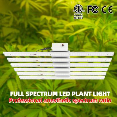 China Seed Starting Medicinal Plant Greenhouse Fixture Led To Grow 1000 Watt UV Light Bar Led Grow Light for sale