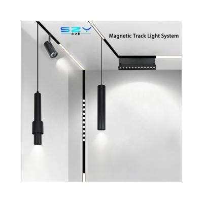 China Factory wholesale 3000k modern aluminum magnetic adjustable linear pendant light led track light for sale