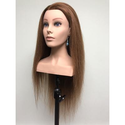 China With Wig Wholesale Price Europe Face Training Mannequin Head With Shoulder For Hairdresser for sale