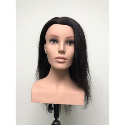 China With Wig Wholesale Price Europe Face Training Mannequin Head With Shoulder For Hairdresser for sale