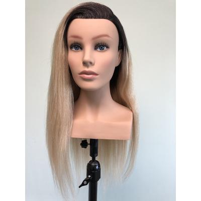 China With Wig Ombre Color Europe Face Training Mannequin Head With Shoulder For Hairdresser for sale