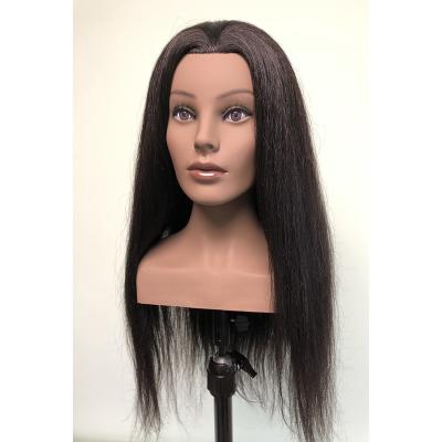 China With Wig Dark Skin Europe Face Training Mannequin Head With Shoulder For Hairdresser for sale