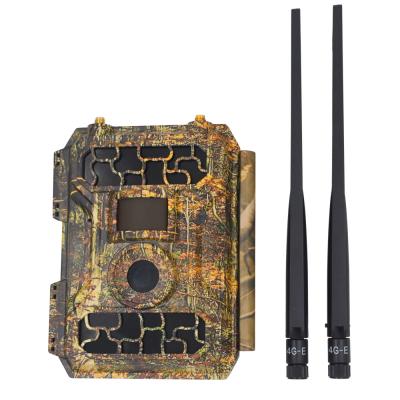 China FLIR Mini Wifi Night Vision 4G Wireless Trap Hidden Thermal Camera for Wild Hunting Activity 2.31