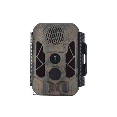 China NIGHT VISION New Arrival Bird Reflector Function Trail Camera Bird Visitor Speaker Hunting Camera IP66 Waterproof for sale