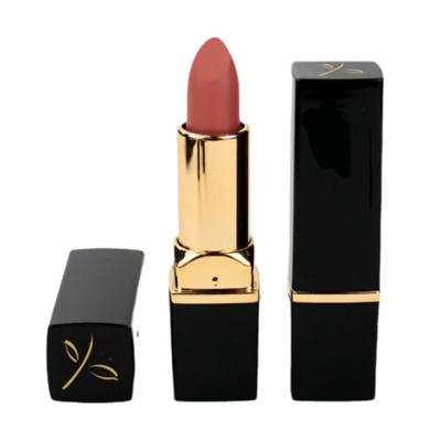 China Professional Waterproof Lipstick Velvet Waterproof Lipsticks Make Your Own Logo Lipstick Private Label Long Lasting Moisture Rose for sale