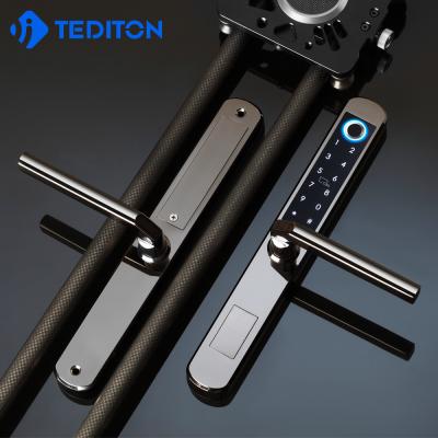 China Tediton 304 stainless steel smart door lock waterproof stainless steel sliding door Digital fingerprint door lock ttlock for sale