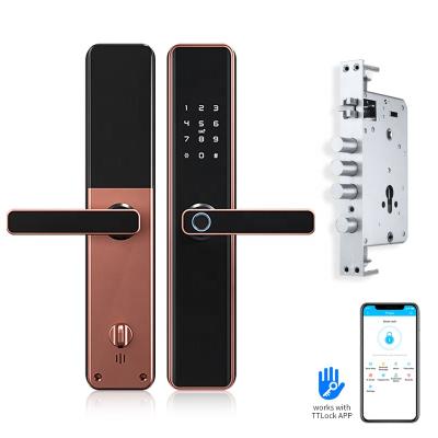 China Aluminum Alloy TTLOCK APP Anti Theft Magnetic Smart Door Lock Biometric Fingerprint Remote Control Lever for sale