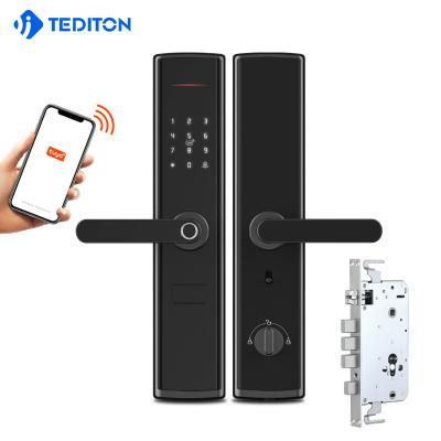 China Zinc alloy Tuya APP smart wifi lock door wifi smart fingerprint door lock for sale