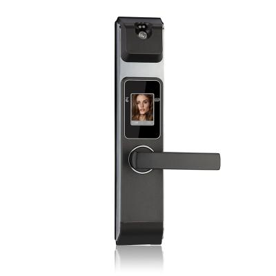 China Intelligent Cnc Push Pull Digital Aluminum Security Face Lock With Eye Camera Scanner for sale