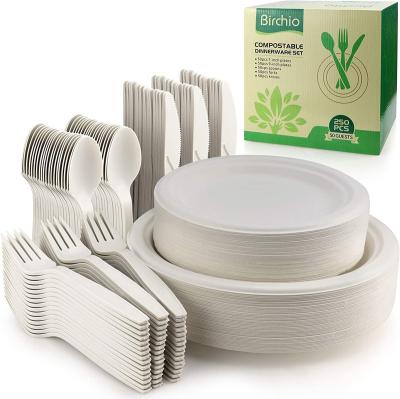 China Disposable Compostable Paper Plates Set Heavy Duty Disposable Paper Plates Eco-Friendly Includes Biodegradable Dishes Forks Knives for sale