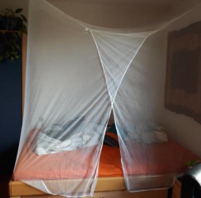 China large king bed mosquito nets Home, Outdoor, Camping, Travel, Military for sale