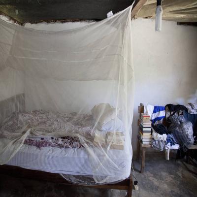 China Africa Cheap Long Lasting Impregnated Mosquito Net for Double Bed for sale