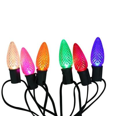 China Amazon C9 Waterproof RGB String Light Strawberry LED String Light Holiday Light Full Color Decoration Dustproof Christmas Light Outdoor for sale