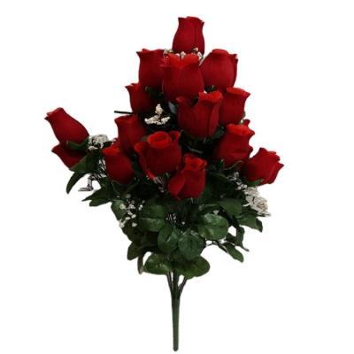 China Celebration Velvet Rose Bud x24 for sale