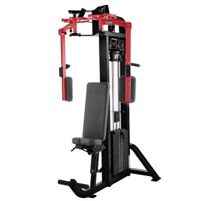 China Gym Center Approved Lifefitness Gym Fitness Equipment With 50x100x3mm Steel Tube for sale