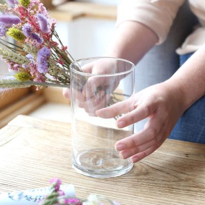 China MULTIPLE USE Cylinder Glass Vase Clear Single Flower Glass Vases For Hydroponic Plants for sale